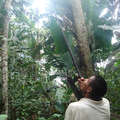 Hombre nukak cazando con cerbatana. &copy; <span class="caps">ICBF</span>