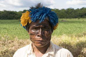 O líder de uma comunidade Guarani fez um apelo desesperado para a devolução da terra ancestral da sua tribo. 