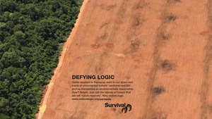 Defying-logic-advert-paraguay-cms_300_wide