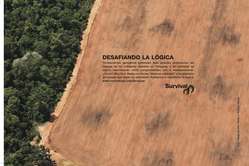 Survival lanza el anuncio Desafiando la lógica, que denuncia la destrucción de la tierra de los ayoreo.