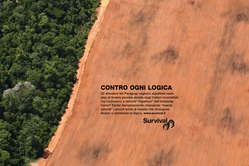 Survival ha lanciato una campagna globale a sostegno degli Ayoreo.
