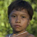 Menino Yanomami &copy; Fiona Watson/Survival