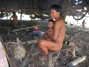 The Suruwaha are an isolated tribe, highly vulnerable to introduced diseases.