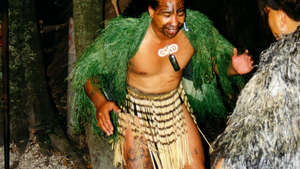 Maori-performer_300_wide
