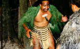 Maori-performer_thumb