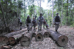 Brasil ha desplegado, finalmente, una gran operación en terreno para expulsar a los invasores del territorio awá.