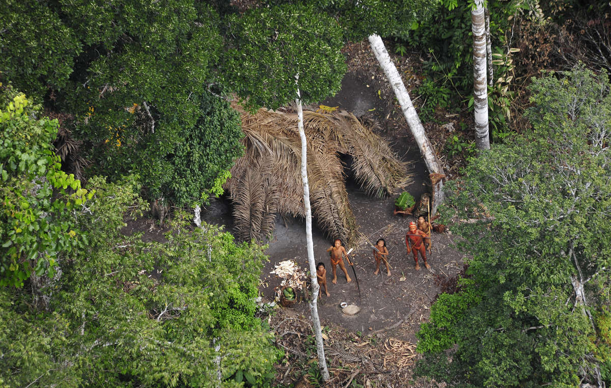 Uncontacted Indians in Brazil seen from the air during a Brazilian government expedition in 2010. The photos reveal a thriving, healthy community with baskets full of manioc and papaya fresh from their gardens.