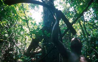 Pygmes-26_bulletin_band