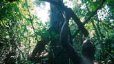 Pygmes-26_widescreen_small