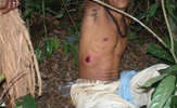 Braz-tut-cimi-lr-08_thumb