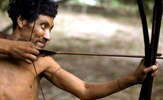 Awa-fw-c-survival-4_thumb