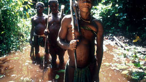 Pygmes-6_300_wide
