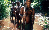 Pygmes-6_thumb