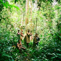 Pygmies are experts of the forest. Here they are pictured in the Democratic Republic of Congo. &copy; Kate Eshelby/Survival