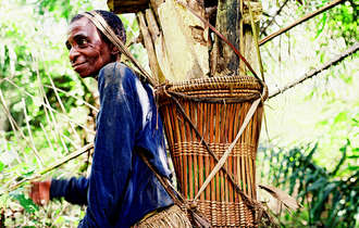Drc-pyg-ke-15_bulletin_band