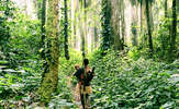Drc-pyg-ke-38_thumb