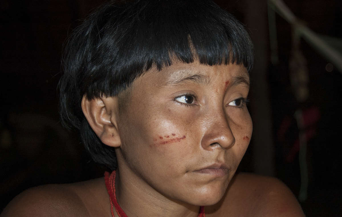Illegal miners are polluting the Yanomami and Yekuana tribes' rivers.