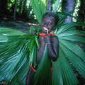 Niño jarawa. &copy; Salomé/Survival