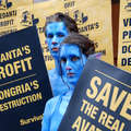 Les Dongria Kondh ont été décrits comme ‘la réelle tribu d’Avatar’ leur situation étant très proche de celle du film à succès de James Cameron. <small>&copy; Survival</small>