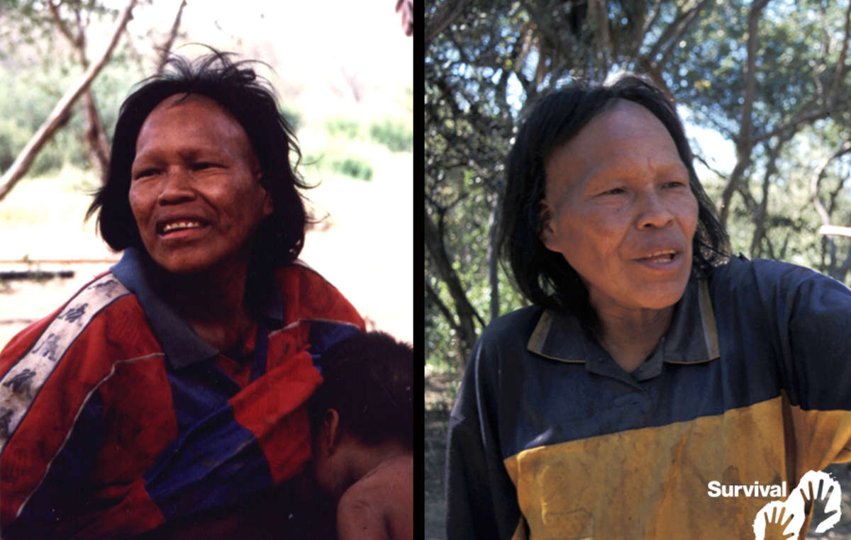 Ibore Picanerai en pleine santé le jour où elle a été chassée de la forêt en 1998 (à gauche), et atteinte de la tuberculose  en 2003 (à droite). Elle est morte en 2009.