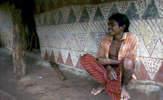 Ind-don-s-477_thumb