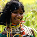 Dongria Kondh woman in millet field, Orissa, India &copy; Toby Nicholas/Survival