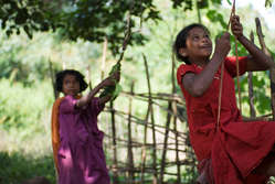 Dongria Kondh children swing from a tree in Niyamgiri, Orissa