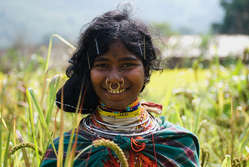 Dongria Kondh woman picking millet in Niyamgiri, India