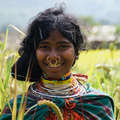 Dongria Kondh woman picking millet in Niyamgiri, India &copy; Toby Nicholas/Survival