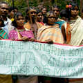 Los dongria kondh se manifiestan contra Vedanta Resources, Niyamgiri, India.  <small>&copy; Survival</small>