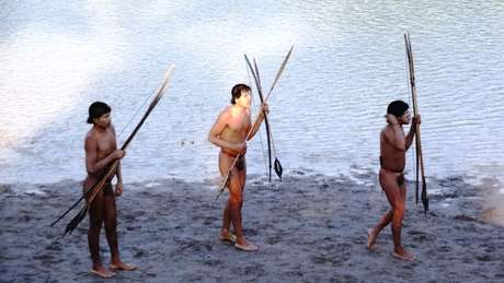 'Violent attacks' caused uncontacted Indians to emerge