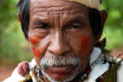 Homem Guarani. A Shell está usando cana de açúcar plantada nas terras dos Guarani. © Fiona Watson/Survival