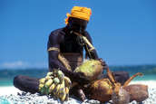 Jarawa