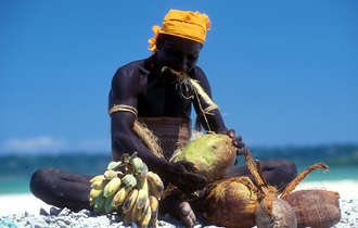 Jarawa43_bulletin_band