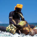 Jarawa, islas Andamán &copy; Salomé/Survival