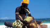 Jarawa43_widescreen_small