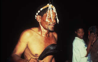 Bots-bush-fw-trancedance_bulletin_band