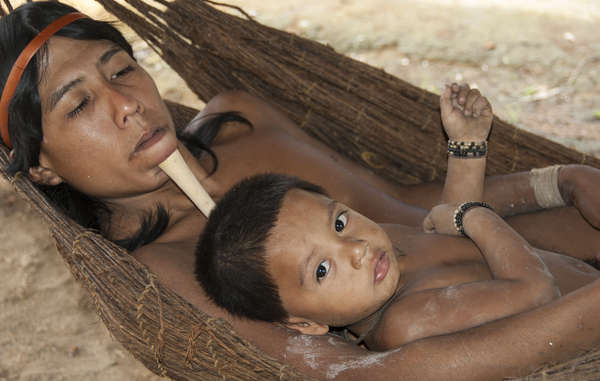 The Zo'é were first contacted in 1982 by evangelical missionaries, and have been threatened by diseases ever since