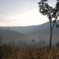 Early morning in Lakhapadar, a Dongria Kondh village close to where Vedanta Resources wants to mine. &copy; Survival International