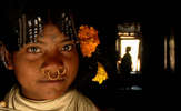 Ind-don-ld2-film-02_thumb