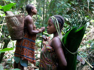 The Baka fear going into their forest which has been turned into 'protected areas'.