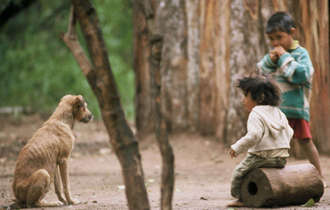 F1000028_bulletin_band