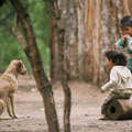 Ayoreo-Totobiegosode Kinder im Camp der New Tribes Mission.

 &copy; Ruedi Suter/Survival