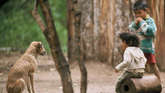 F1000028_widescreen_small