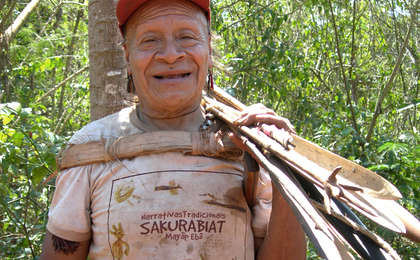 Braz-akun-fw-2008-11-crop_bulletin_band