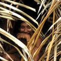 Hombre awá, Takwarentxia, contactado en 1992. Ahora vive en la comunidad de juriti.  &copy; Fiona Watson/Survival