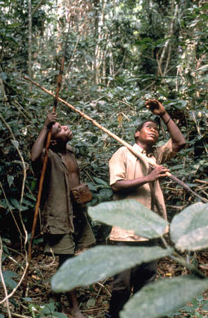 Tribal peoples like the Baka in southeast Cameroon face abuse by anti-poaching squads.