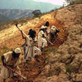 Arhuaco preparing the land for planting: Sierra Nevada de Santa Marta, Northern Colombia. &copy; Yezid Campos/Survival