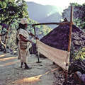 Arhuaco man weaving cotton yarn, Sierra Nevada de Santa Marta, Colombia. &copy; Yezid Campos/Survival