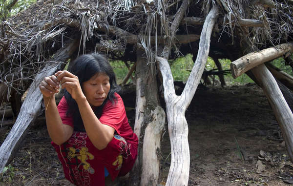 Guiejna, an Ayoreo woman forced to flee her house as bulldozers started clearing her forest home.